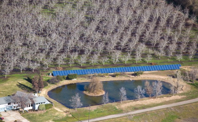 Hackett Orchard