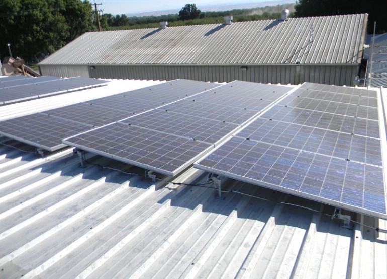 Pacific Farms & Orchards