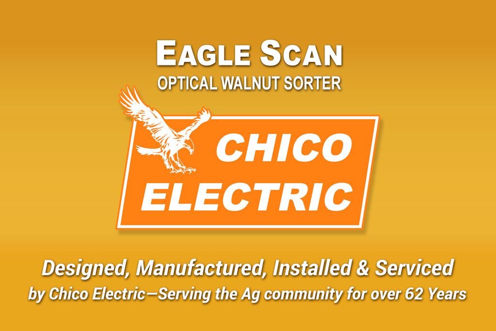 Eagle Sorter logo