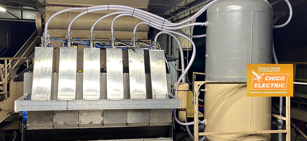 Eagle Scan Optical Electronic Walnut Color Sorter